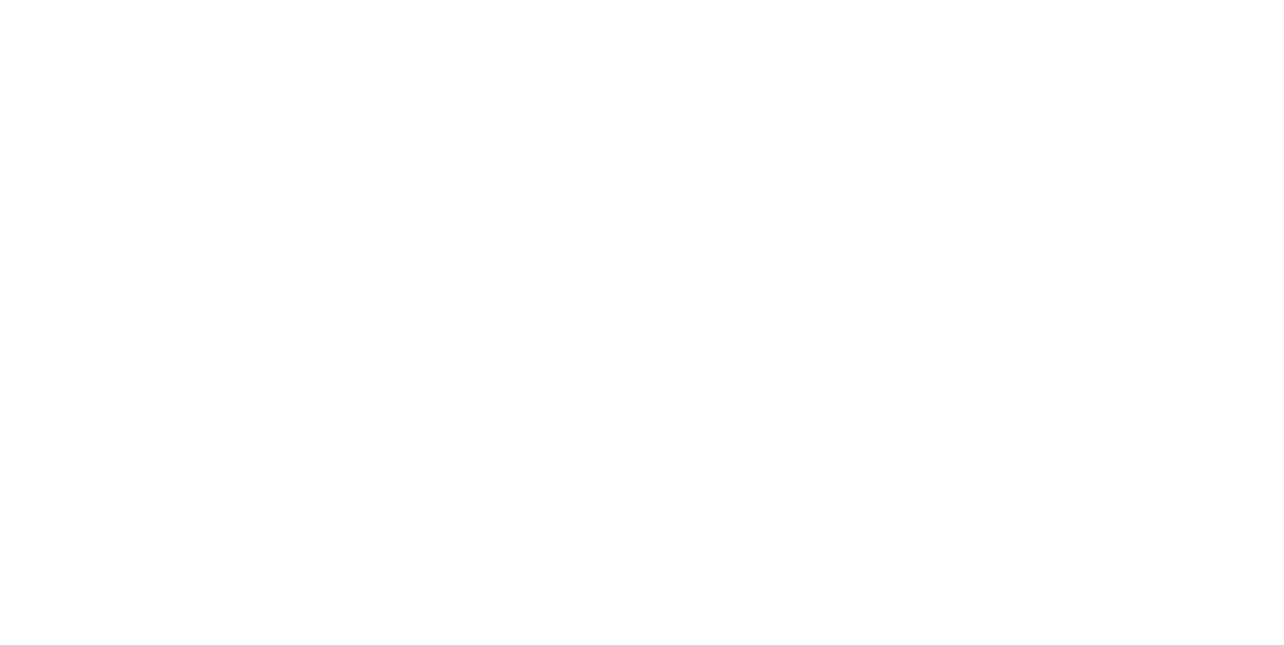 FIDEM Studio
