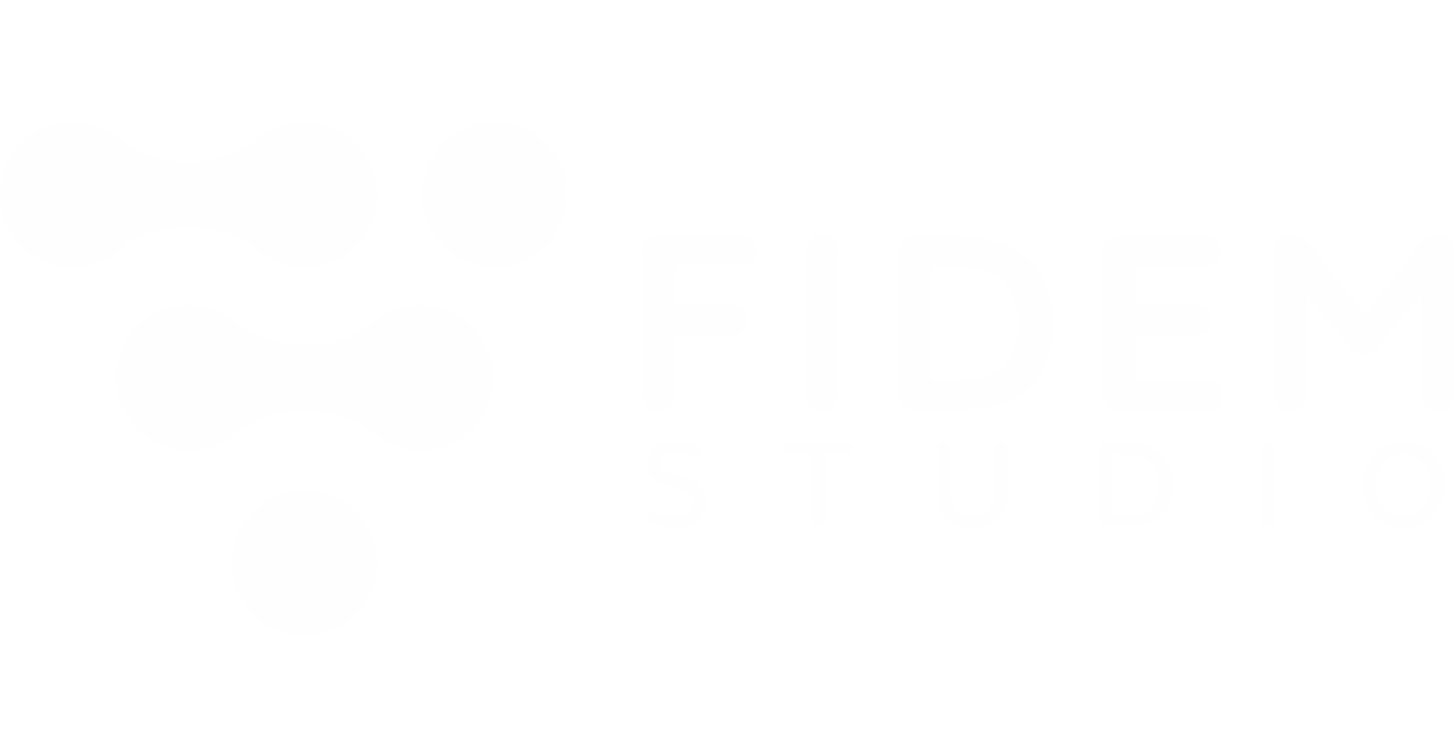 FIDEM Studio